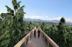 Sky Walk - Serce Poronina