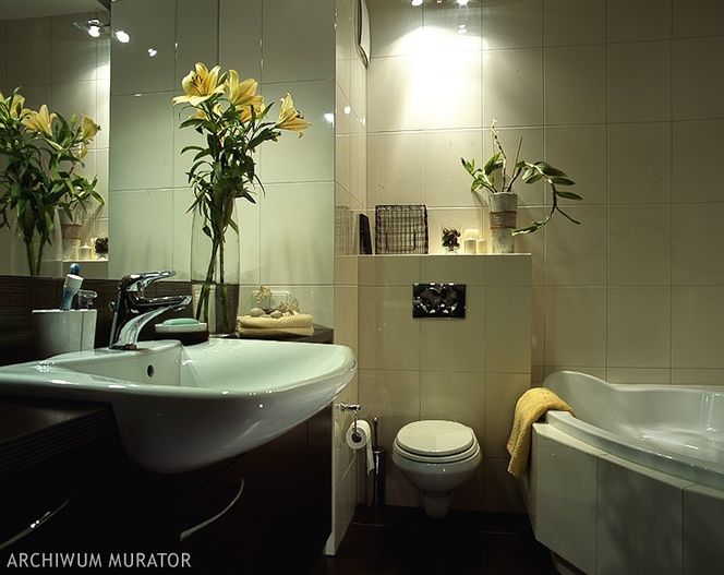 Oświetlenie łazienki - zarówno małej, jak i pokoju kąpielowego. Oświetlenie lustra