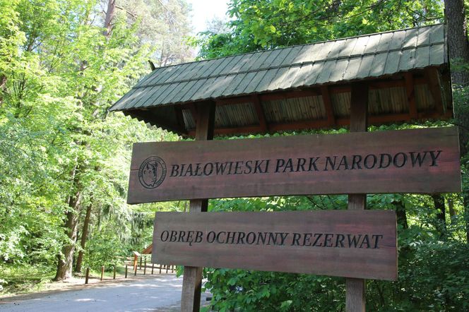 Białowieski Park Narodowy