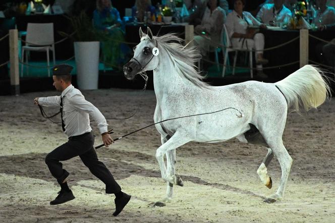 Porażka Pride of Poland 2024? Zyski są zdecydowanie niższe niż rok temu