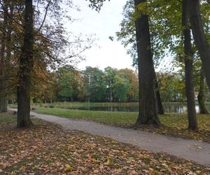 Park Lubomirskich w Białymstoku jesienią 