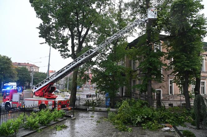 Zachodniopomorskie: Po burzach i ulewach ponad 160 interwencji strażaków