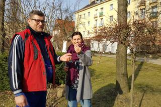 Natura budzi się do życia! W Ogrodzie Botanicznym UKW czuć już wiosnę! [ZDJĘCIA]