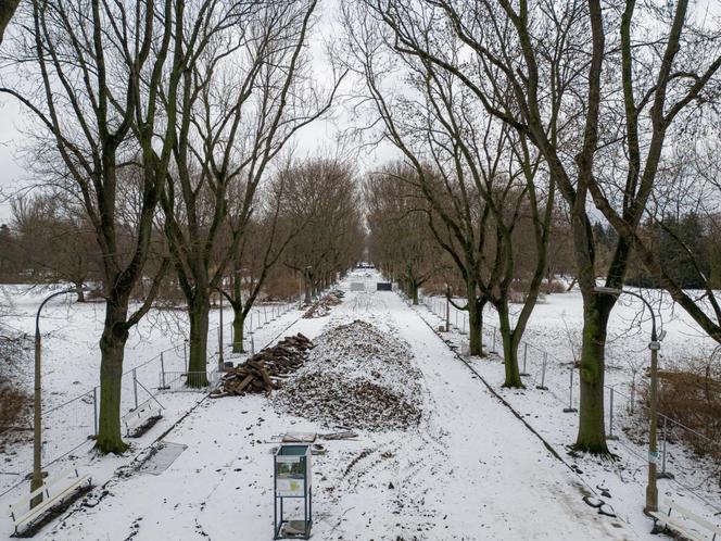 Remont parku Skaryszewskiego