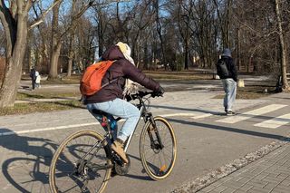Zabytkowy Park Bronowicki w Lublinie czeka gruntowna rewitalizacja. Koszt? 8 milionów złotych