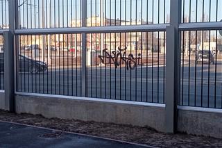 Ekran akustyczny przy Rondzie Portowców już padł ofiarą wandala