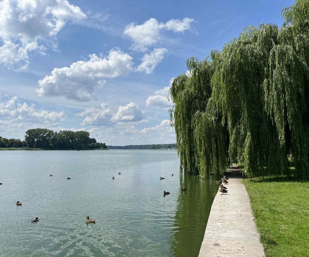 To świetne miejsce na jogging lub rower. Mieści się niedaleko Szczecina