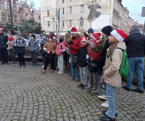 Imieniny Mikołaja Kopernika w Grudziądzu