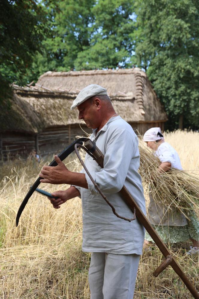 Tak wyglądało kiedyś żniwowanie na polskiej wsi