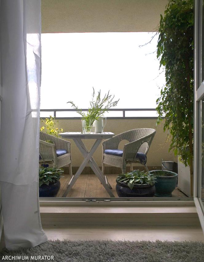 Rośliny na balkon