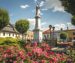 Nie tylko Cieszyn i Ustroń. Nieznany Śląsk Cieszyński to pałace, winnice i stare dęby - zwiedzaj śladami Wędrownych Motyli