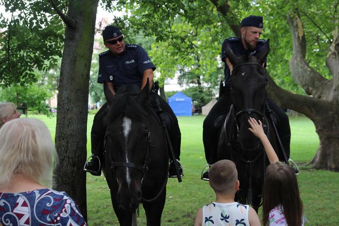 Piknik z okazji Święta Policji w Poznaniu 