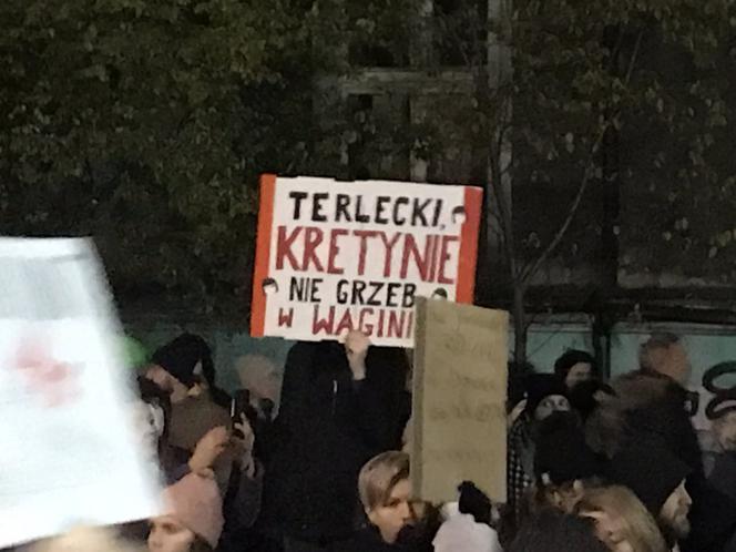 Na ulicach Katowic pojawiły się tłumy. Protestujący szli pod hasłem: "Ani jednej więcej" [ZDJĘCIA]