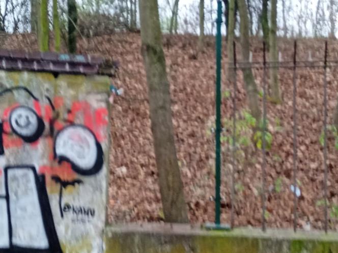 Tak wygląda obecnie stadion Szyca w Poznaniu