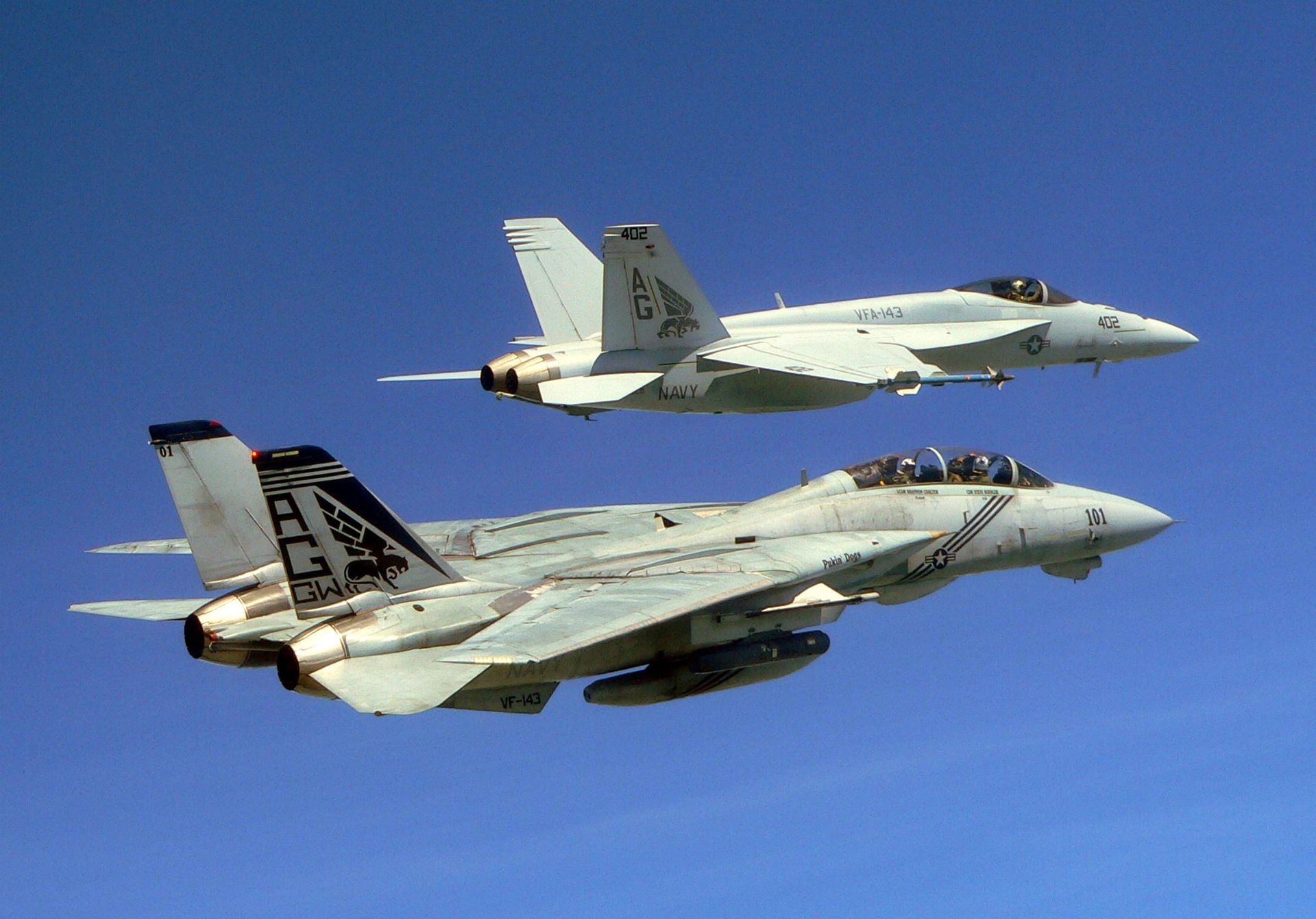 F-14 Tomcat