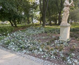 Rzeźba w parku przy Dąbrowskiego straciła głowę i nie tylko. Nie wiadomo czy da się ją naprawić 