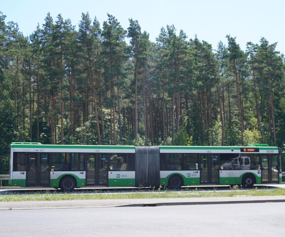 Darmowa komunikacja miejska 1 listopada w Białymstoku. Jak pojadą autobusy w Święto Zmarłych?