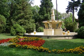 Najpiękniejsze fontanny w Tarnowie. Tu się ochłodzisz 