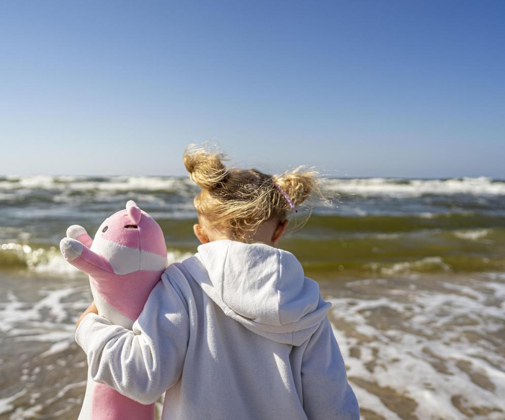 Sinice nad polskim morzem i wieloma jeziorami. Te plaże zostały zamknięte