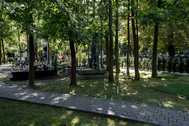 Ewa Demarczyk: Spocznie obok Grechuty