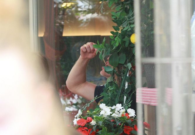 Diablo o gołębim sercu