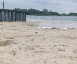 Wielkopolska Ibiza wysycha. Poważny problem z jeziorem Niedzięgiel