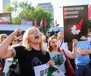 Tłumy przyszły protestować pod Sejm. Przestańcie szkodzić ludziom