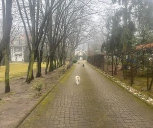 Dom Krystyny Jandy w Milanówku