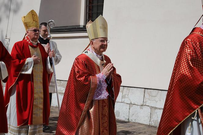 Abp Marek Jędraszewski na Skałce: Prawdziwy pokój między narodami powinien być budowany na zasadach ewangelicznych