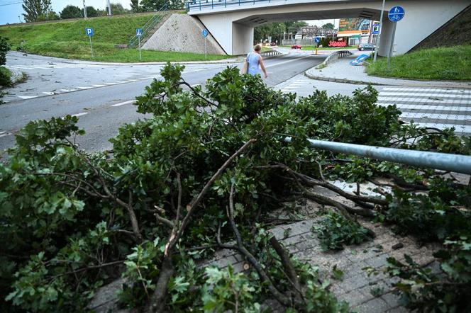 Ulewne deszcze na Podkarpaciu. Połamane drzewa na ulicach Dębicy