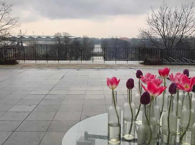 Na dachu, nad wodą czy z kotami? Oto TOP 8 restauracji w niezwykłych miejscach! [GALERIA]