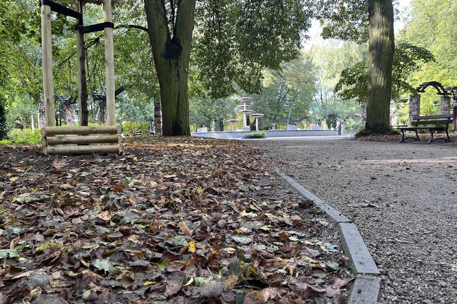 Park Kopernika w Gorzowie w jesiennej scenerii