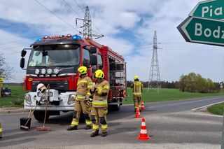 Dwie osoby w szpitalu po zderzeniu dwóch aut. Jedno dachowało
