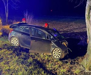 Groźny wypadek w Woli Osowińskiej. Opel uderzył w drzewo, dwie osoby ranne