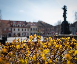 Myślenice znów zmienią logo? Rusza głosowanie