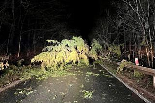 Orkan Nadia uderzył w Dolny Śląsk. Na Śnieżce wiało 195 km/h. Setki interwencji strażaków 