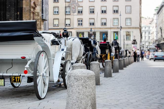 W Austrii na Walentynkach można... zarobić