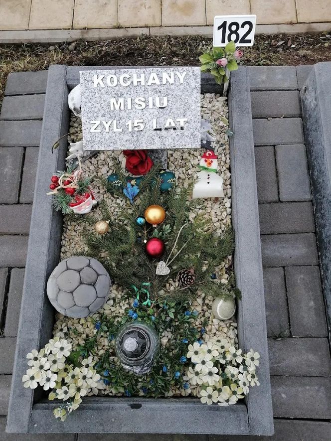 W całym woj. śląskim jest tylko jeden taki cmentarz. Miejsce, gdzie pamięć o pupilu nie umiera