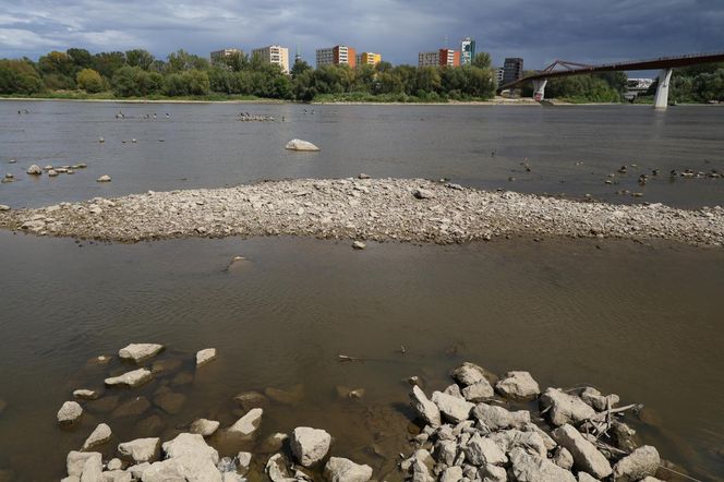 Rekordowo niski stan wody w Wiśle w Warszawie (23.08.2025)