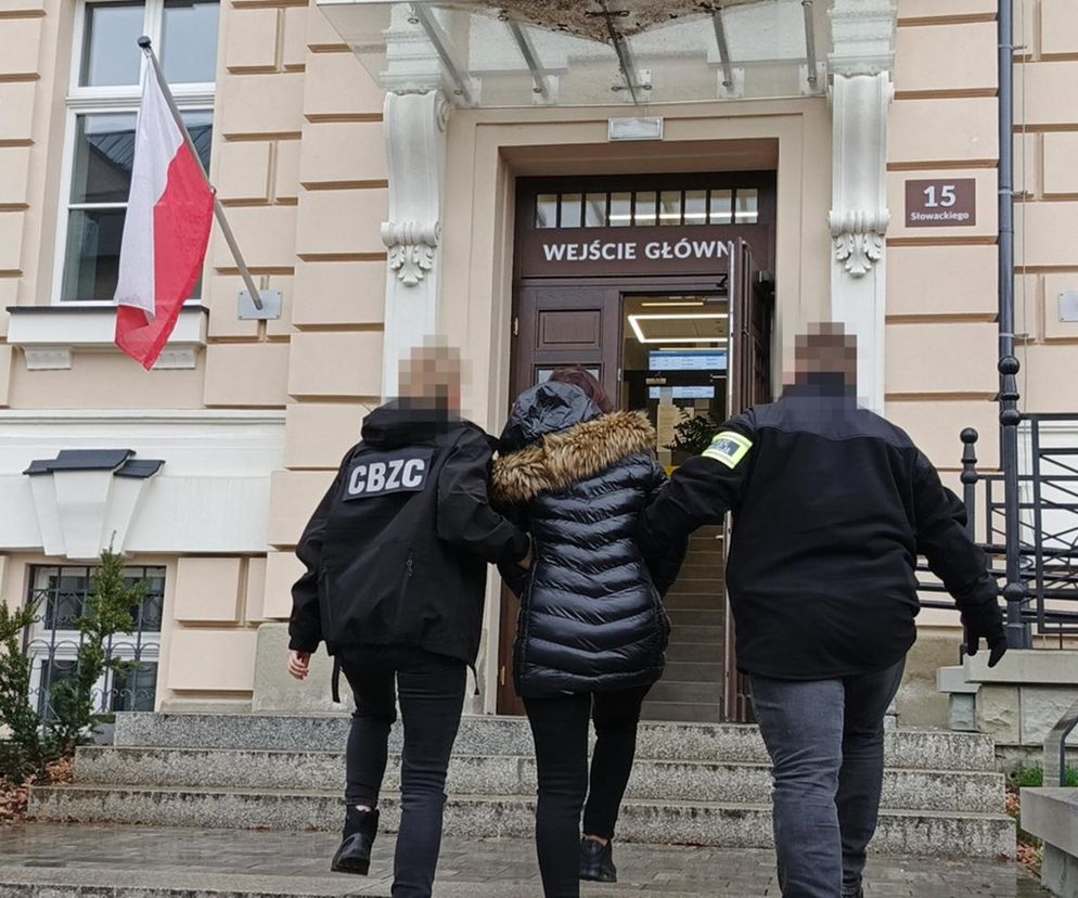 Nielegalnie sprzedawali leki o działaniu poronnym i reklamowali się w internecie