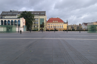 Rzeźba Twojej twarzy może stanąć na placu Wolności