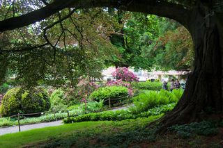 Mało kto wie o tym urokliwym ogrodzie. To idealne miejsce na romantyczną sesję. Znajduje się w Polsce! 