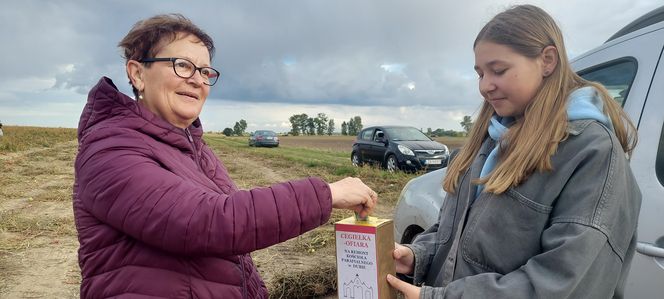 Samozbiory pomidorów na plantacji w Niewirkowie cieszą się powodzeniem