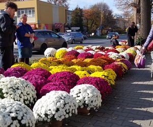 Przygotowania do Wszystkich Świętych Zamość