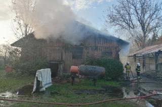 Tragiczny pożar w ośrodku jeździeckim. Dwa konie zginęły w płomieniach