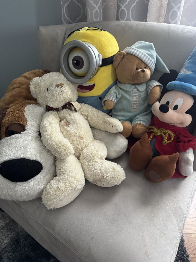 Polka z przedmieść Chicago wzruszyła świat. Jej film obejrzały miliony