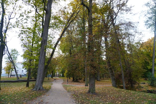 Park Lubomirskich w Białymstoku jesienią 