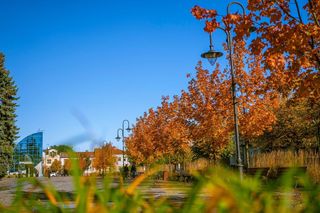 To miasto w woj. podlaskim uznawane jest za czołowe uzdrowisko w Polsce. Co wiesz o Augustowie?