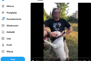 Makabra w Krakowie. Pies ODGRYZAŁ mu głowę w parku. Okropny widok [WSTRZĄSAJĄCE WIDEO]