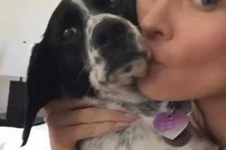 Odszedł ukochany pies Joanny Krupy